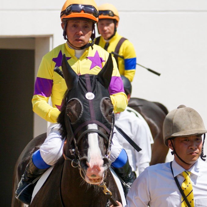 あっきい🐾 tweet media