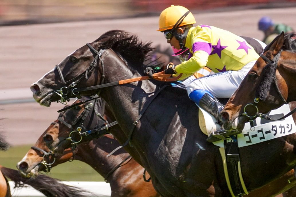 あっきい🐾 tweet media