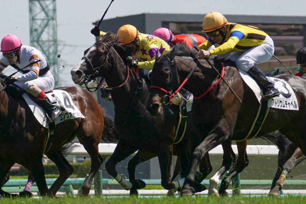 あっきい🐾 tweet media