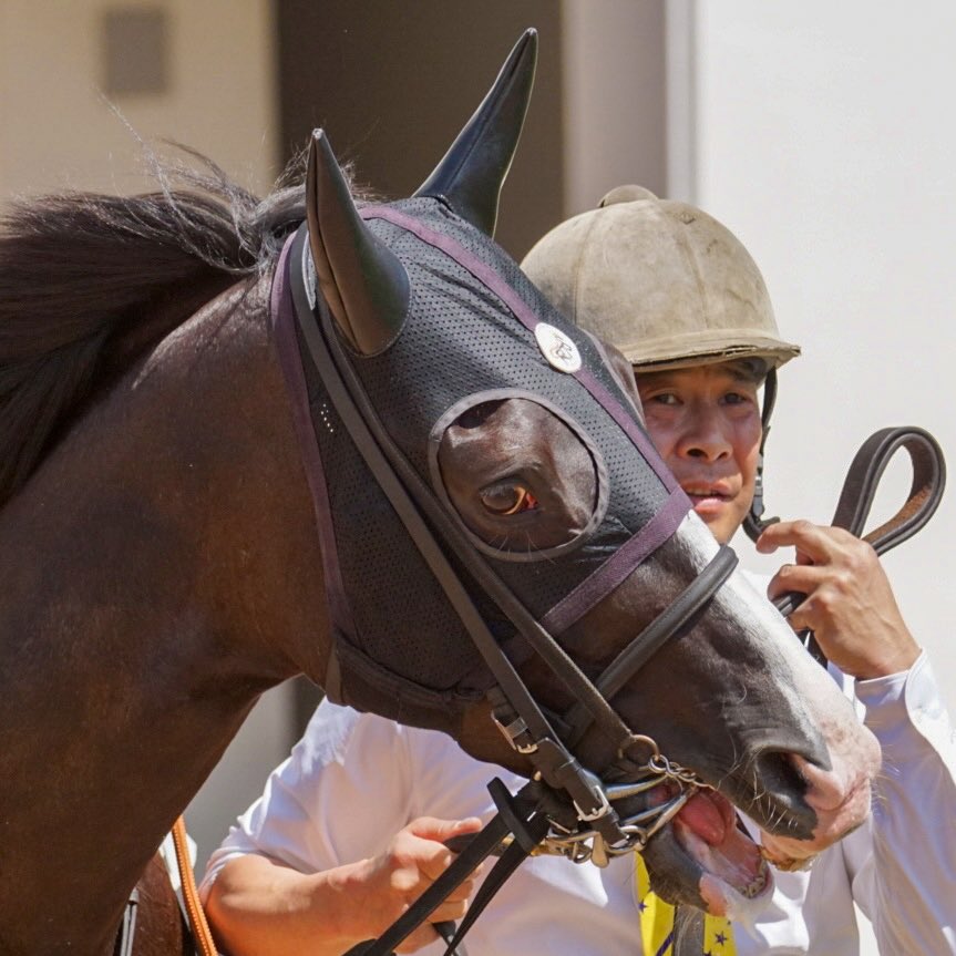 あっきい🐾 tweet media