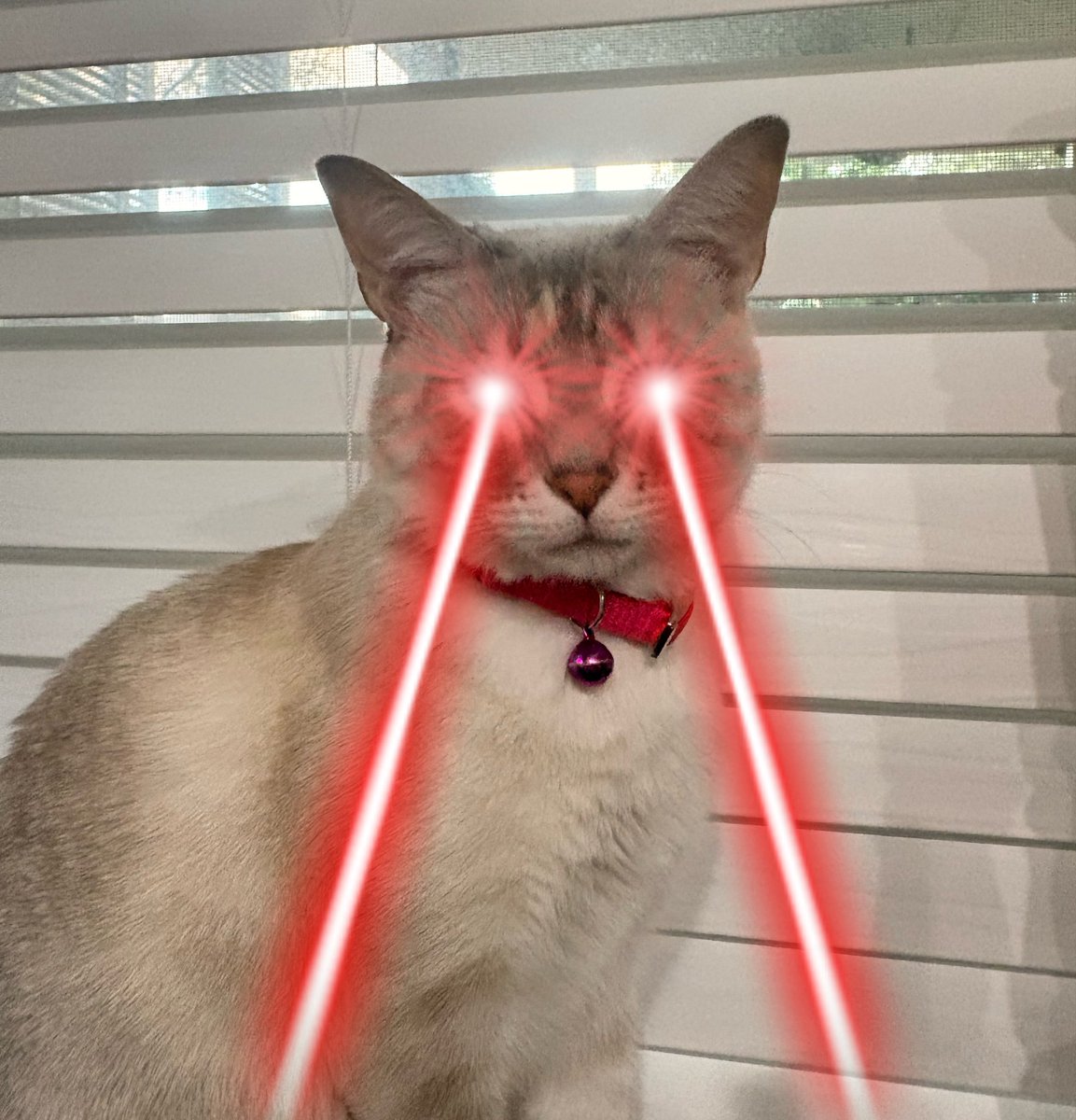 victoria ♡ tweet media