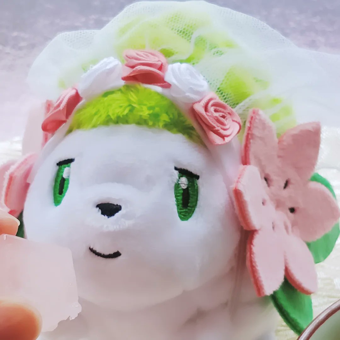 千夜🥨₺ƾ₺ƾﾗｲﾌ tweet media