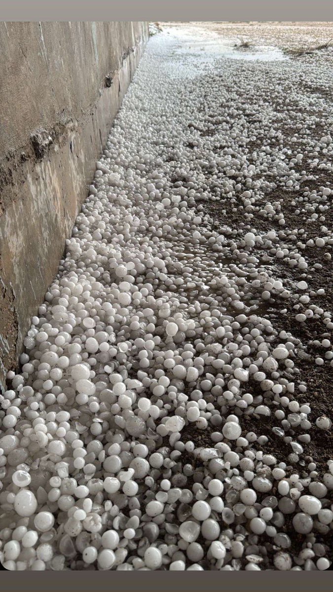 ,َعاشق ,َالبر  tweet media