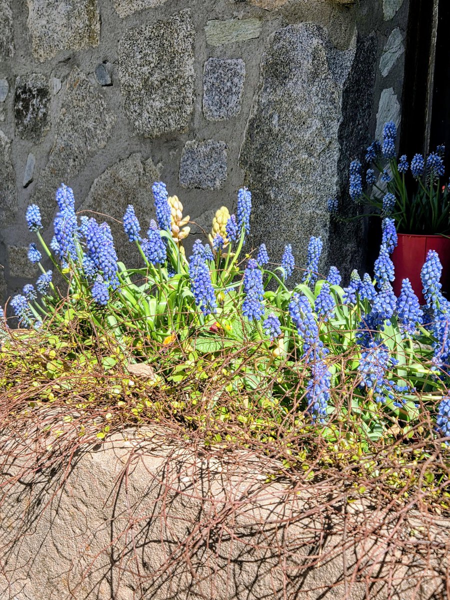 Infowiesel  tweet media