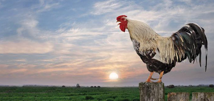 ByPanZehir_'s tweet image. G  Ü  N  A  Y  D  I  N  N  N   N  ☀️☕️

#pazar #günaydın #istanbul