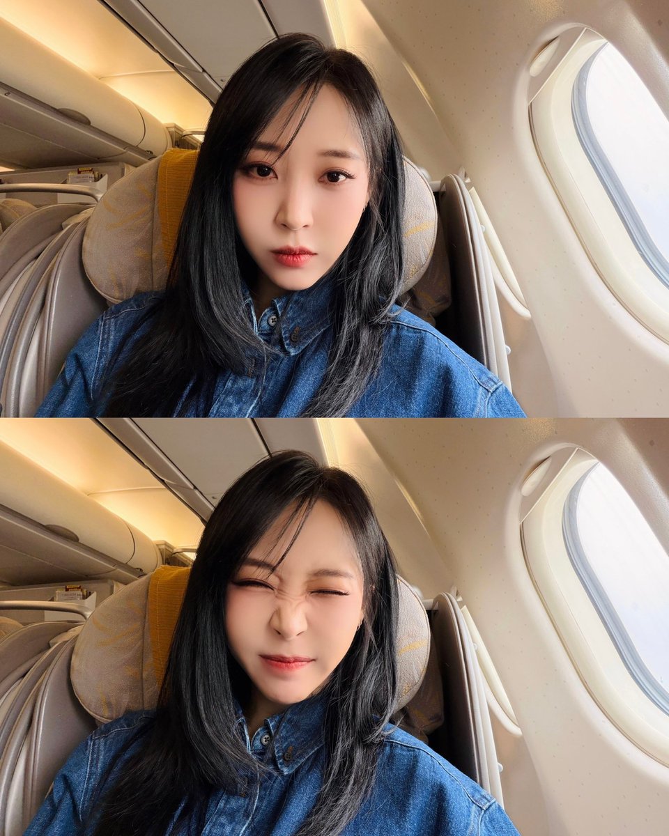 for 🐹 tweet media