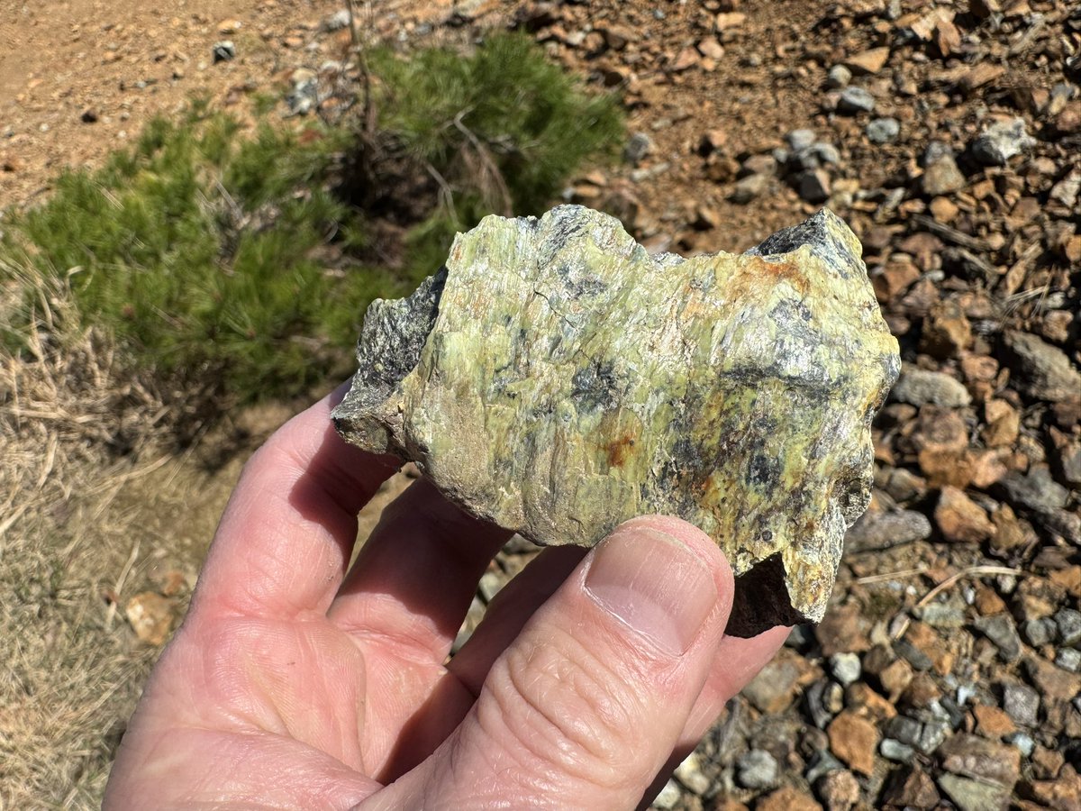 道沿いの岩壁？
なんか萌える。
コレって蛇紋岩？
ツルツルしててピカピカしてる
詳しい人教えて欲しい
#鉱物採集 #瑠璃の宝石