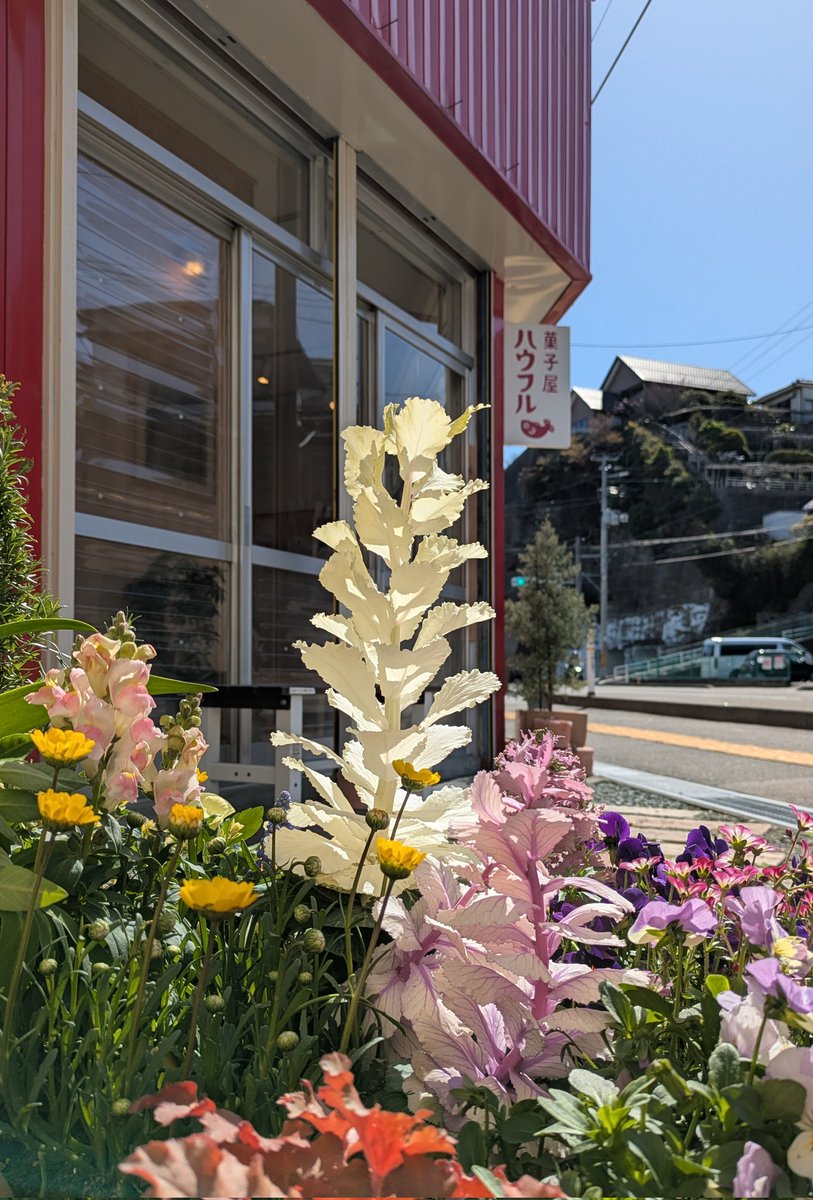 この時間、台湾パイナップルのココナッツパンナコッタは６個あります。
マフィンはキャラメルバナナ３個、桜あんクリームチーズ２個、苺マスカルポーネ１個。
プリン６個、イタリアンプリン大のみ４個です。
焼菓子は完売品もありますが種類あります。
17時までお待ちしております。
#菓子屋ハウフル