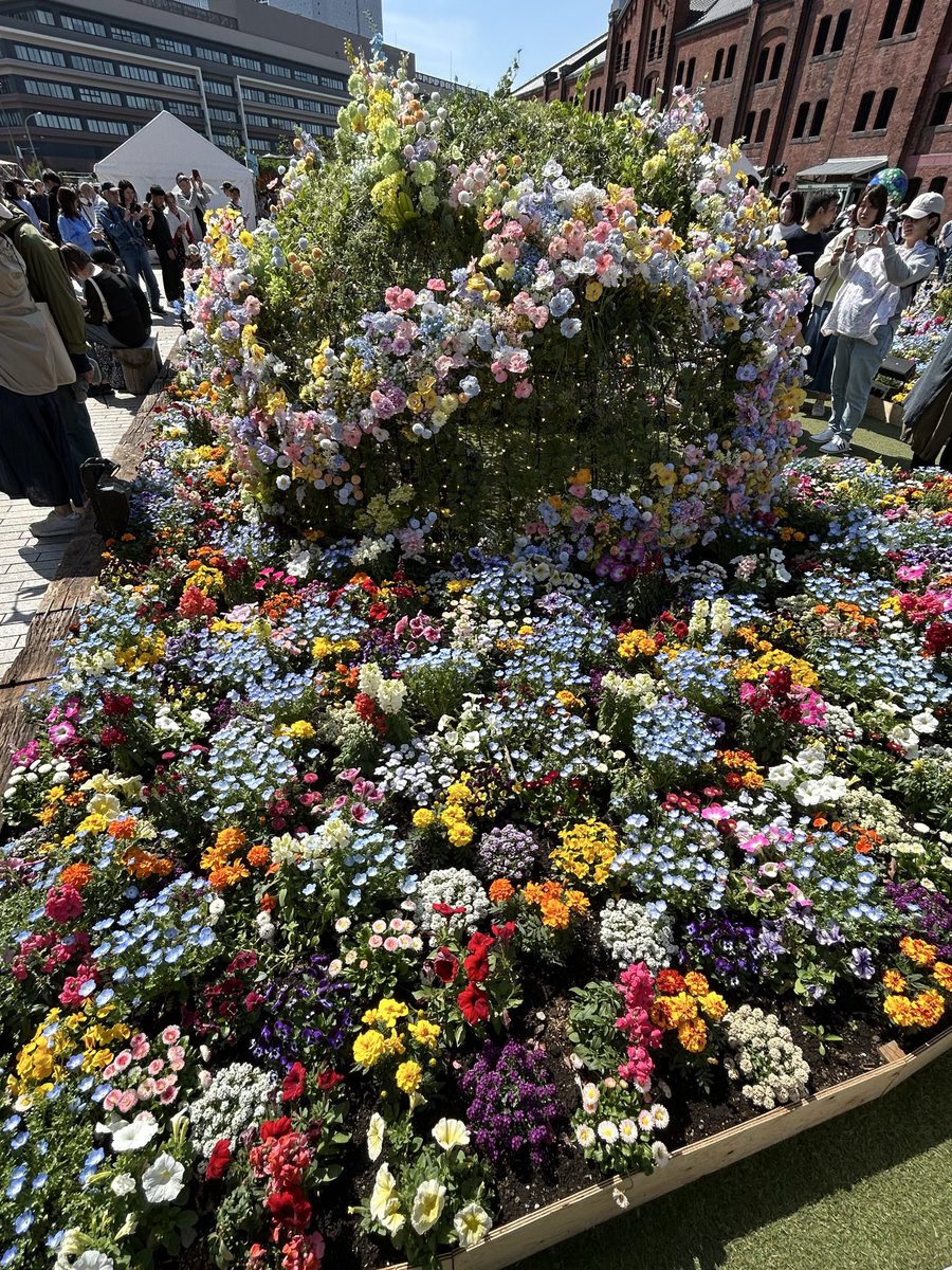 ぼたんもち tweet media