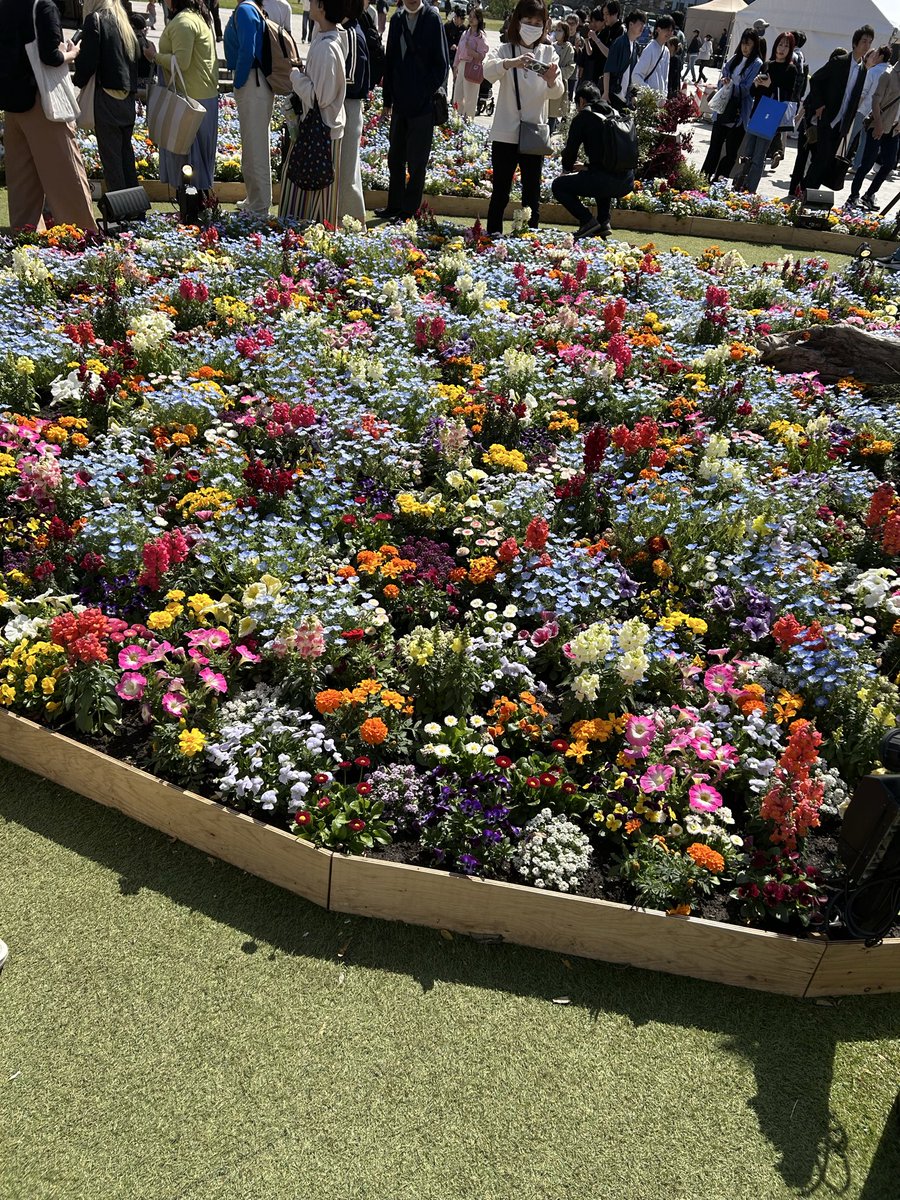 ぼたんもち tweet media