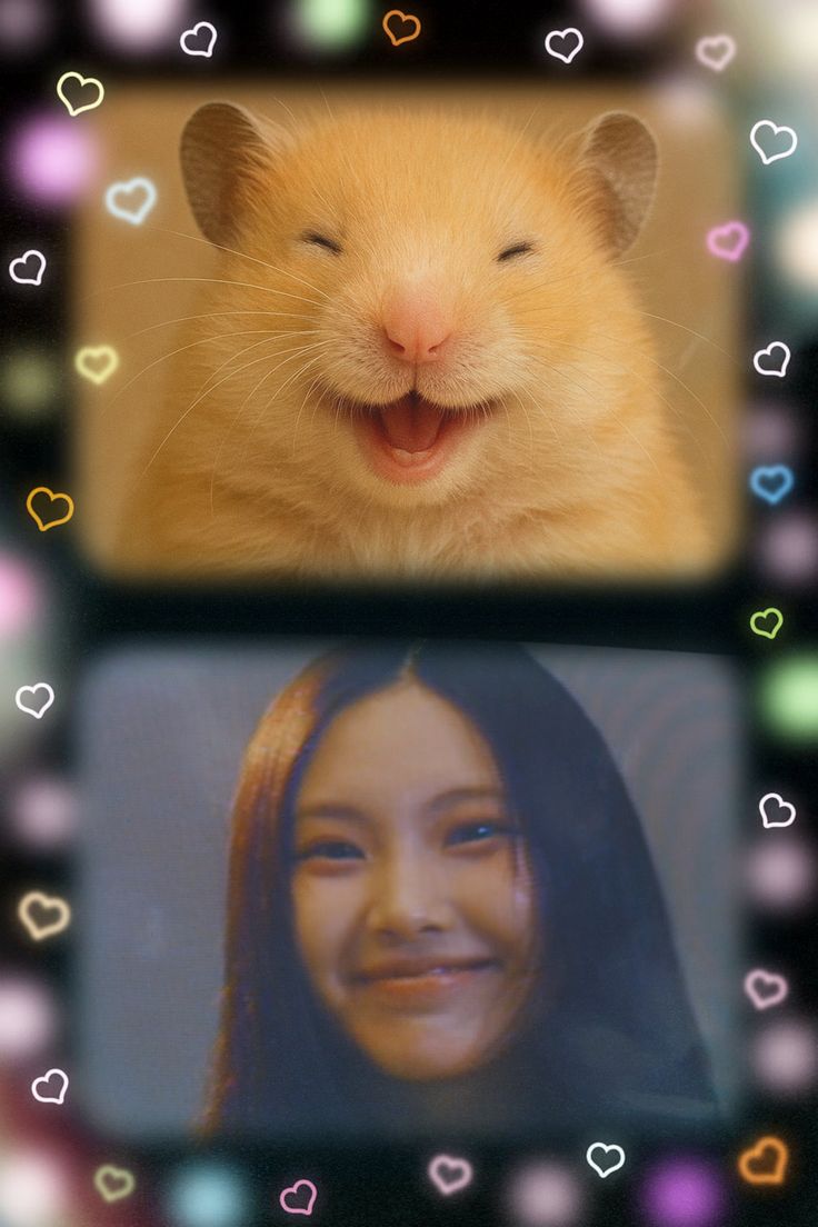 ℰ𝓊𝒶𝓁𝓁𝒶 🦋 tweet media