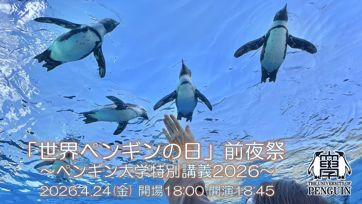 会場前売券はpeatix・配信はツイキャスより好評発中!!
4月24日(金)夜『「世界ペンギンの日」前夜祭～ペンギン大学特別講義2026～』開催!!
最新のペンギン情報、ペンギンに関する多彩な取り組みに触れていただき、保全や環境問題について考える機会にしていきましょう!! 
tokyocultureculture.com/event/general/…