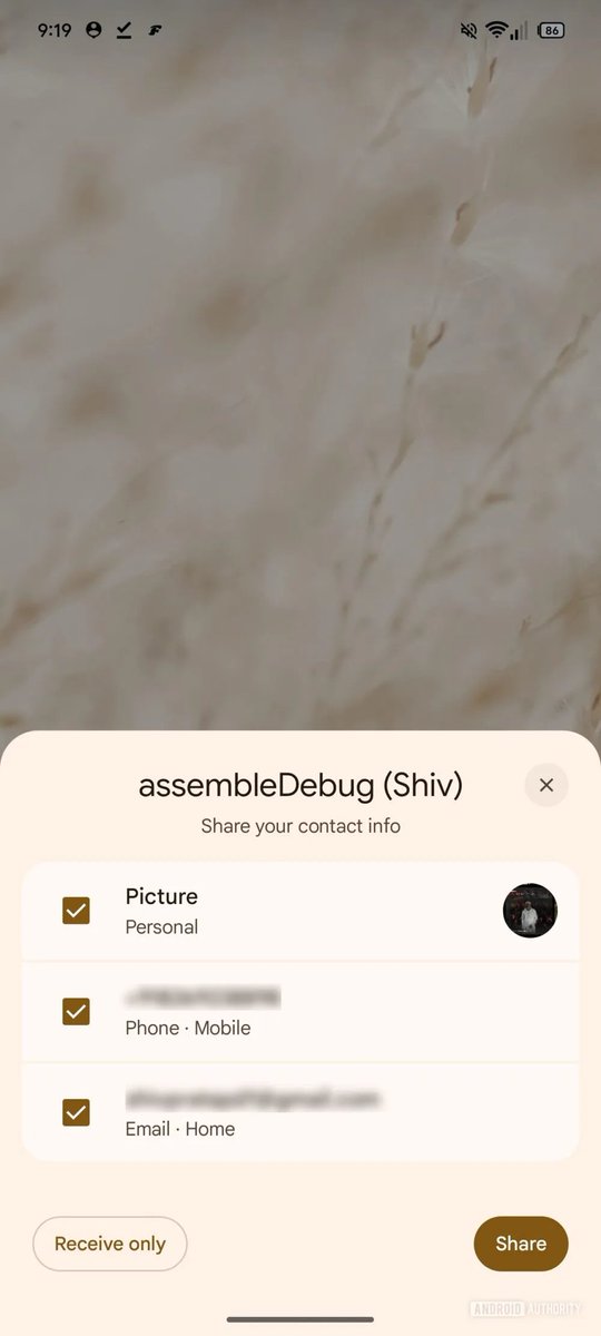 Noah Cat tweet media