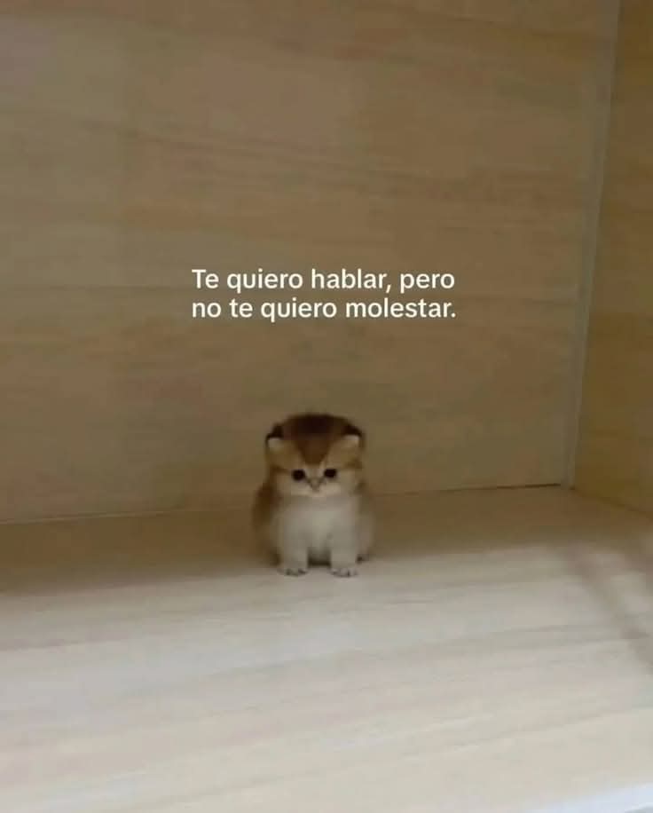 Reflexiones🌧 tweet media