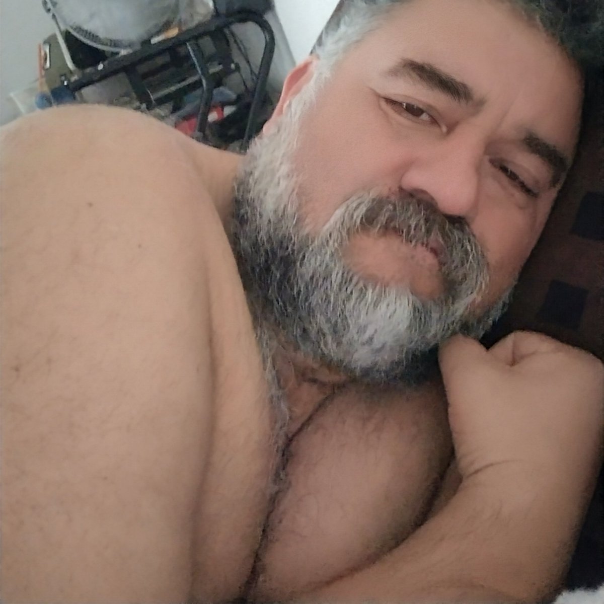 Osito Carpintero tweet media