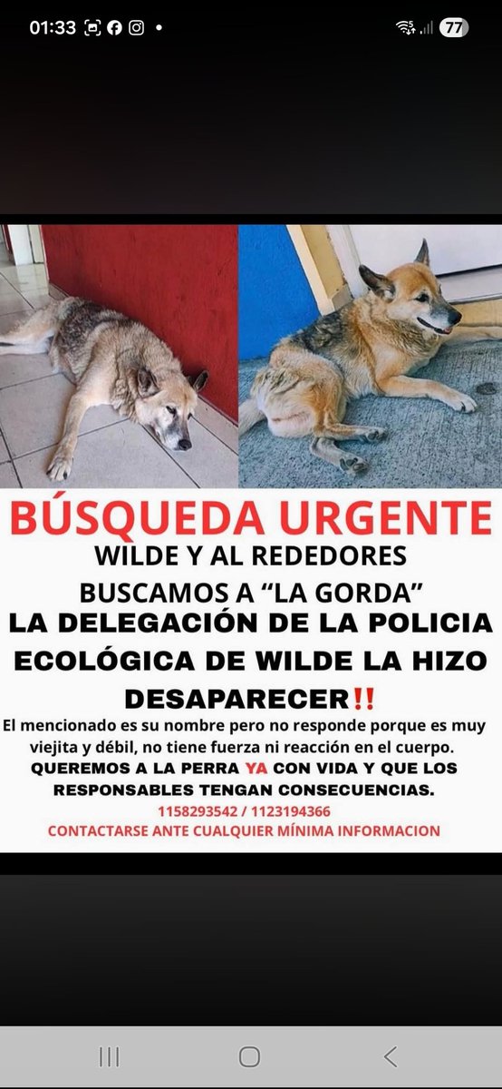 Maria Ines tweet media