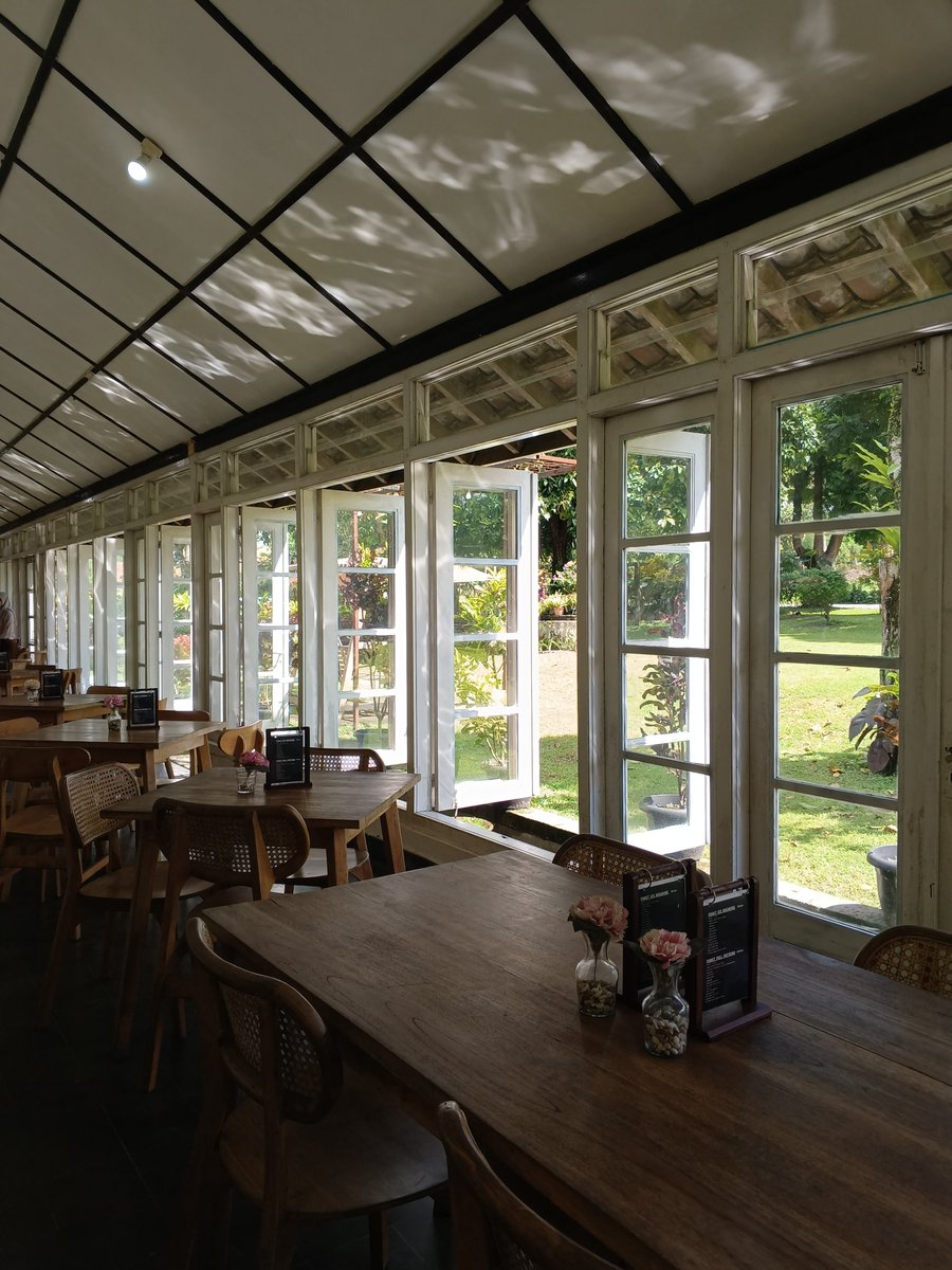 brotein 🍖🇵🇸 tweet media