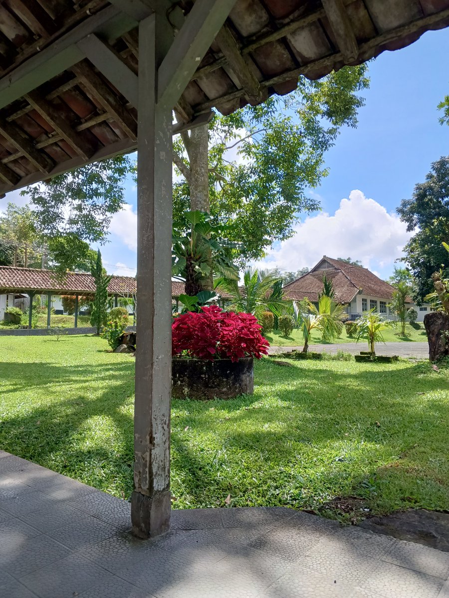 brotein 🍖🇵🇸 tweet media