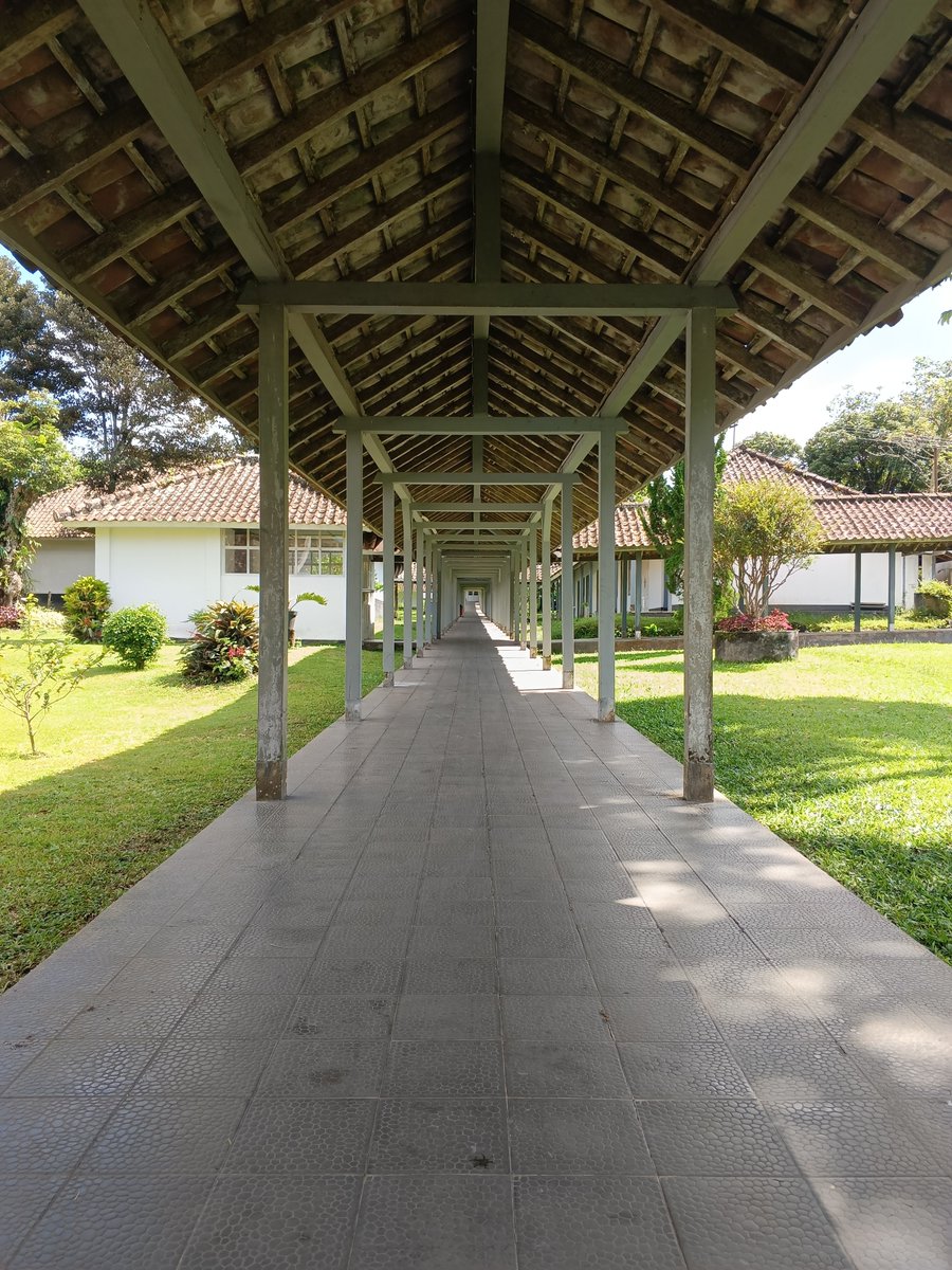 brotein 🍖🇵🇸 tweet media