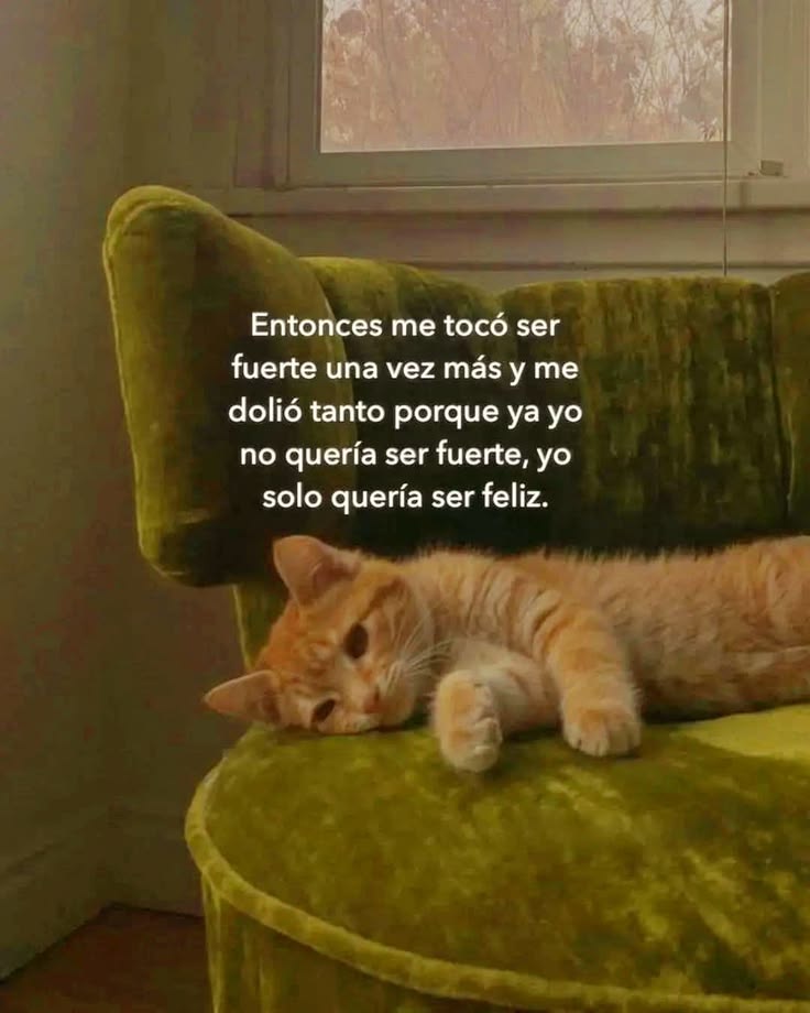 Escrito Ideal (@escrito_ideal) on Twitter photo 