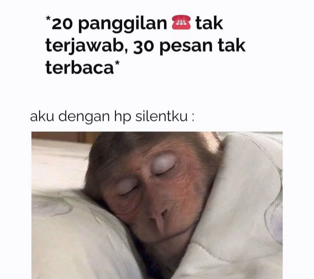 erpang tweet media