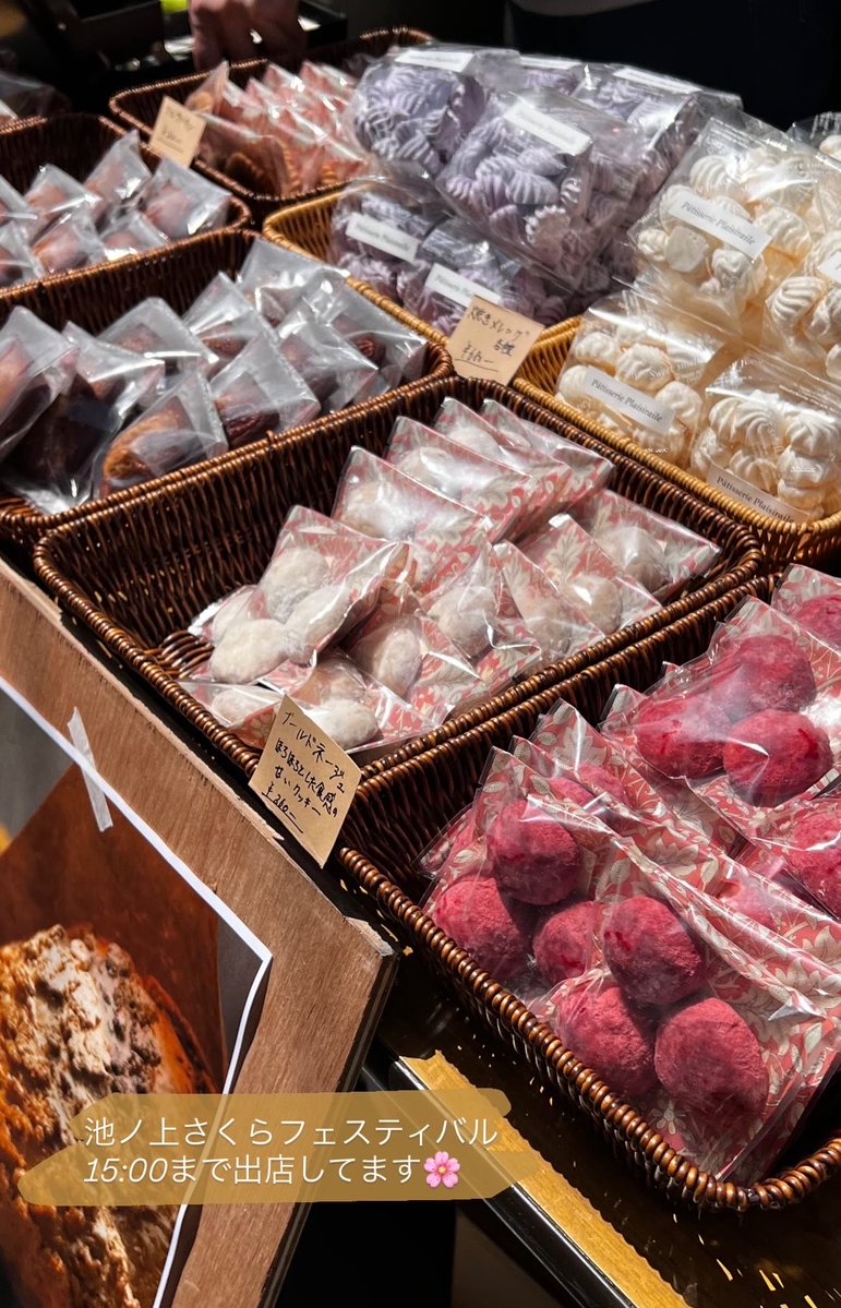 Miku Ishiwatari 🇯🇵🇫🇷 tweet media