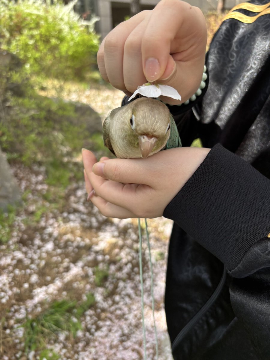 연두해요~ tweet media