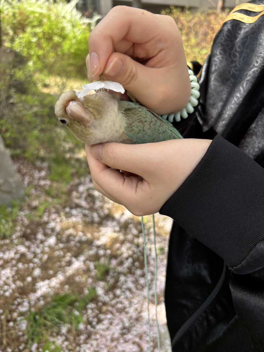 연두해요~ tweet media