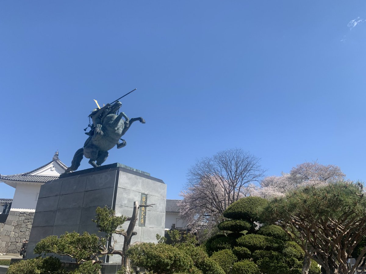 s_kunocchi's tweet photo. 🌸(o・∇・o) https://t.co/QeuVSeWfih
