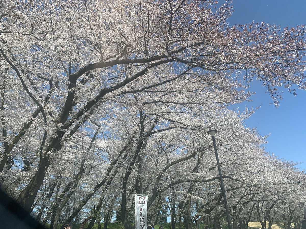 s_kunocchi's tweet photo. 🌸(o・∇・o) https://t.co/QeuVSeWfih