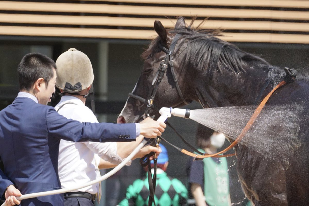 あっきい🐾 tweet media