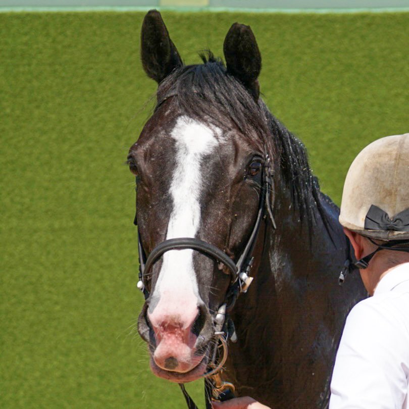 あっきい🐾 tweet media