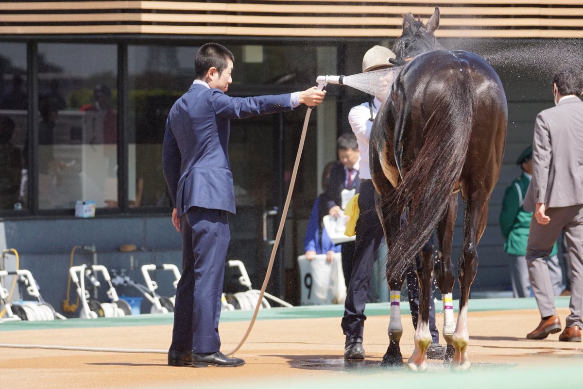 あっきい🐾 tweet media