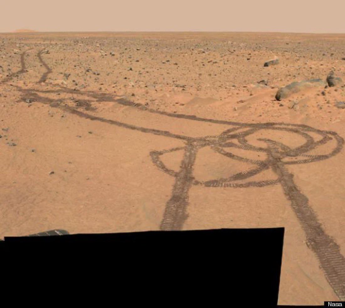 Owen Benjamin 🐻 tweet media