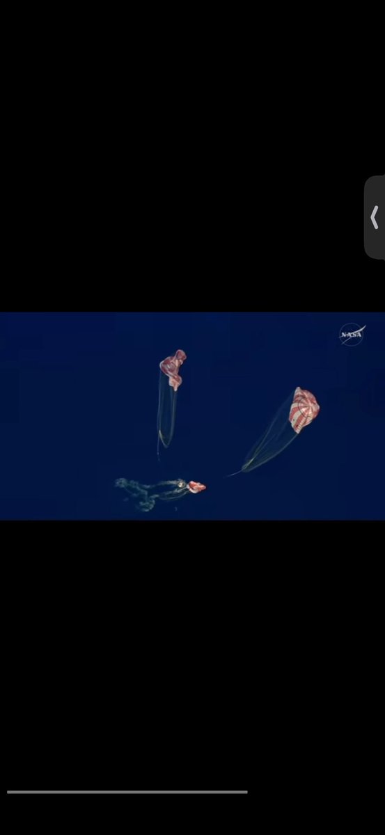 Owen Benjamin 🐻 tweet media