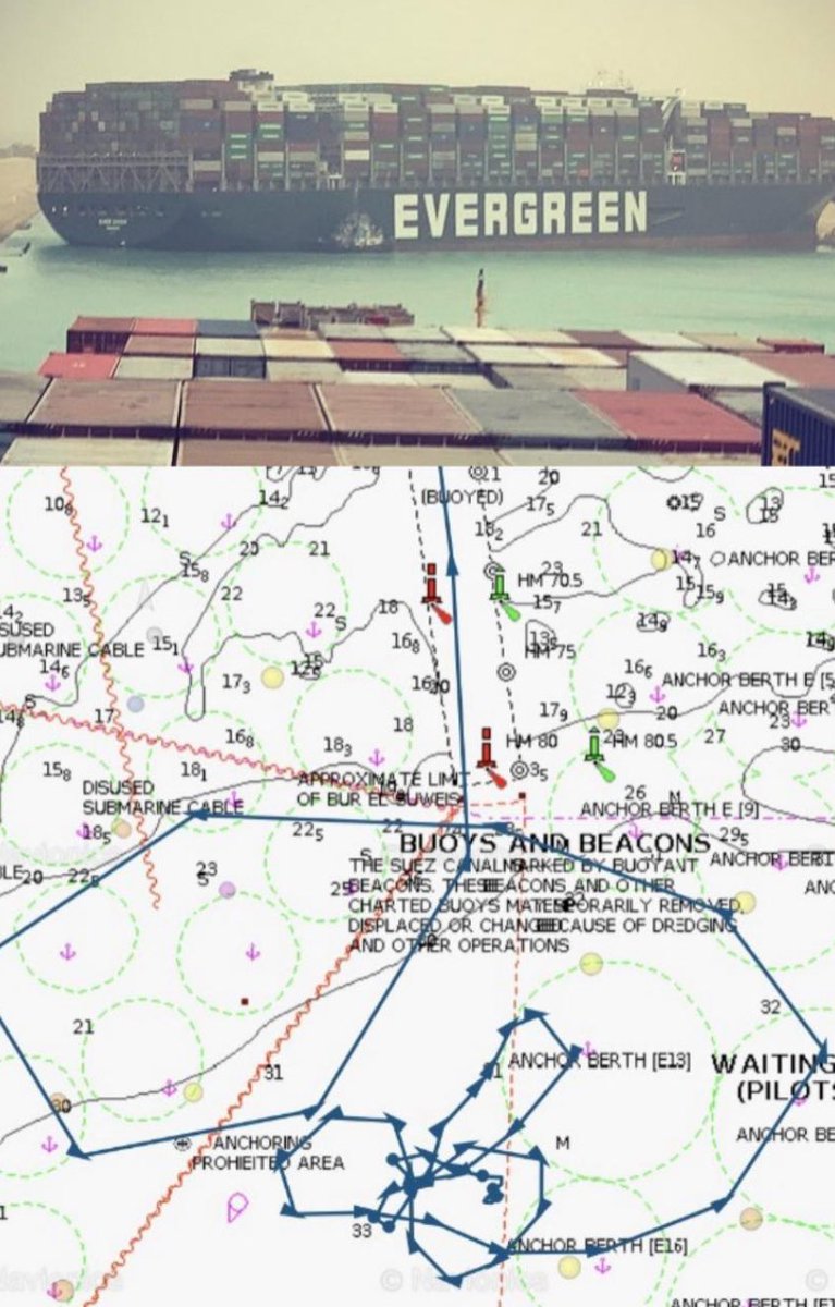 Owen Benjamin 🐻 tweet media