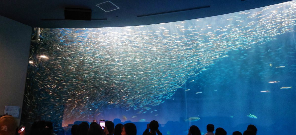 のーす tweet media