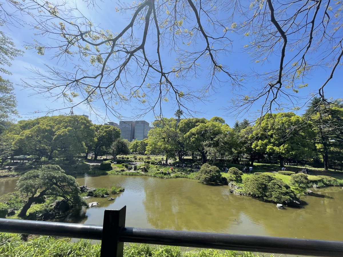 Kaneshima15's tweet photo. 【AGAクリニックにて】🏥
(医)「頭皮をスコープで見た結果、後頭部は密度や太さに問題ないですが、頭頂部、生え際の毛が細く、密度も少ないので、完全にAGAですね。
内服薬を飲めば、抜け毛は治まりますよ。」

(ケ)「内服薬はどれくらい飲むんですか？」

(医)「基本的に一生ですね。」

(ケ)😱😱😱 https://t.co/7ILVHKRW0l