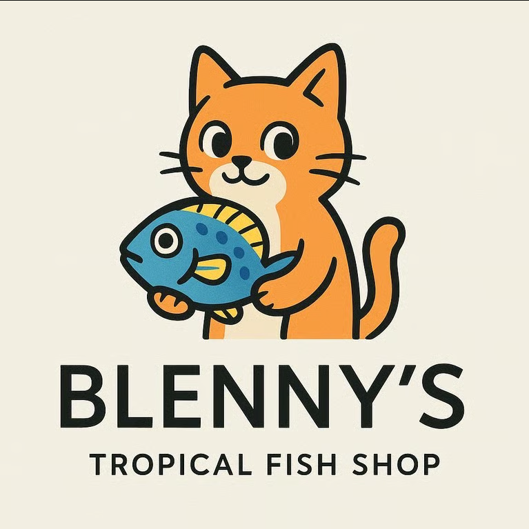 CORALROOM公式 tweet media