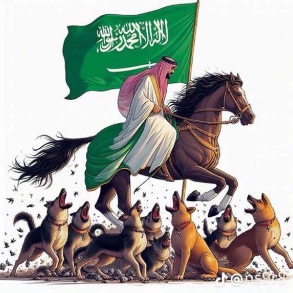 حمد بن ناصر 🇸🇦 tweet media