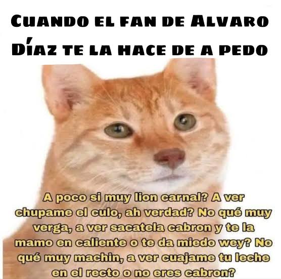 cat_furrowo tweet media