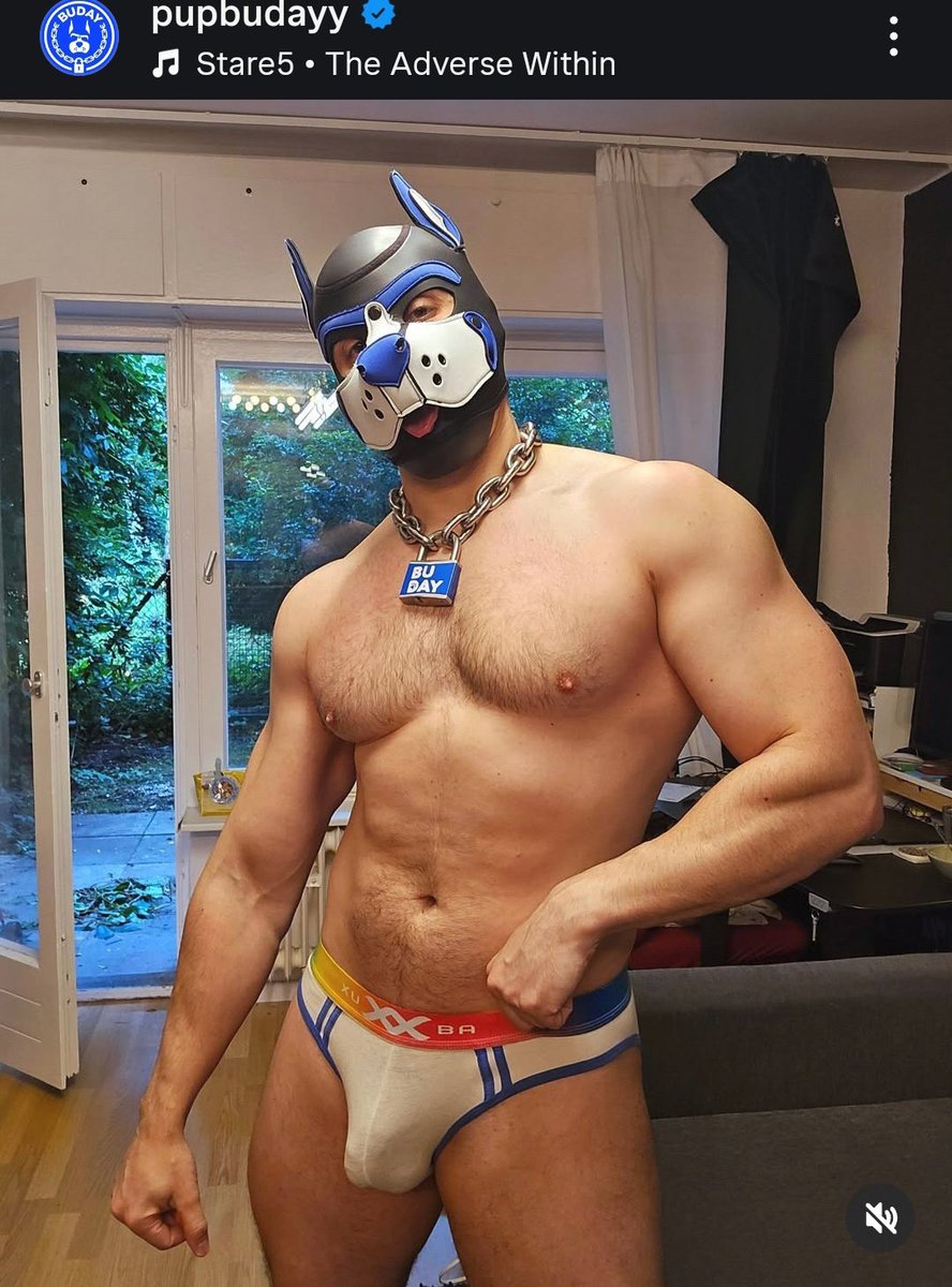 Dibujando otra vez aaaaaaa
Ya me mala-acostumbré xdd
#sketch 
De referencia usé la imagen a lado.