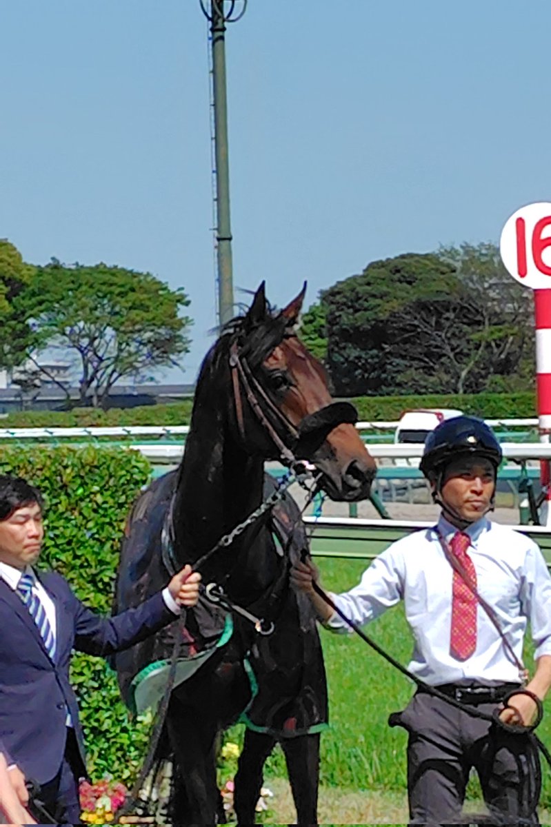 hiro_pon tweet media