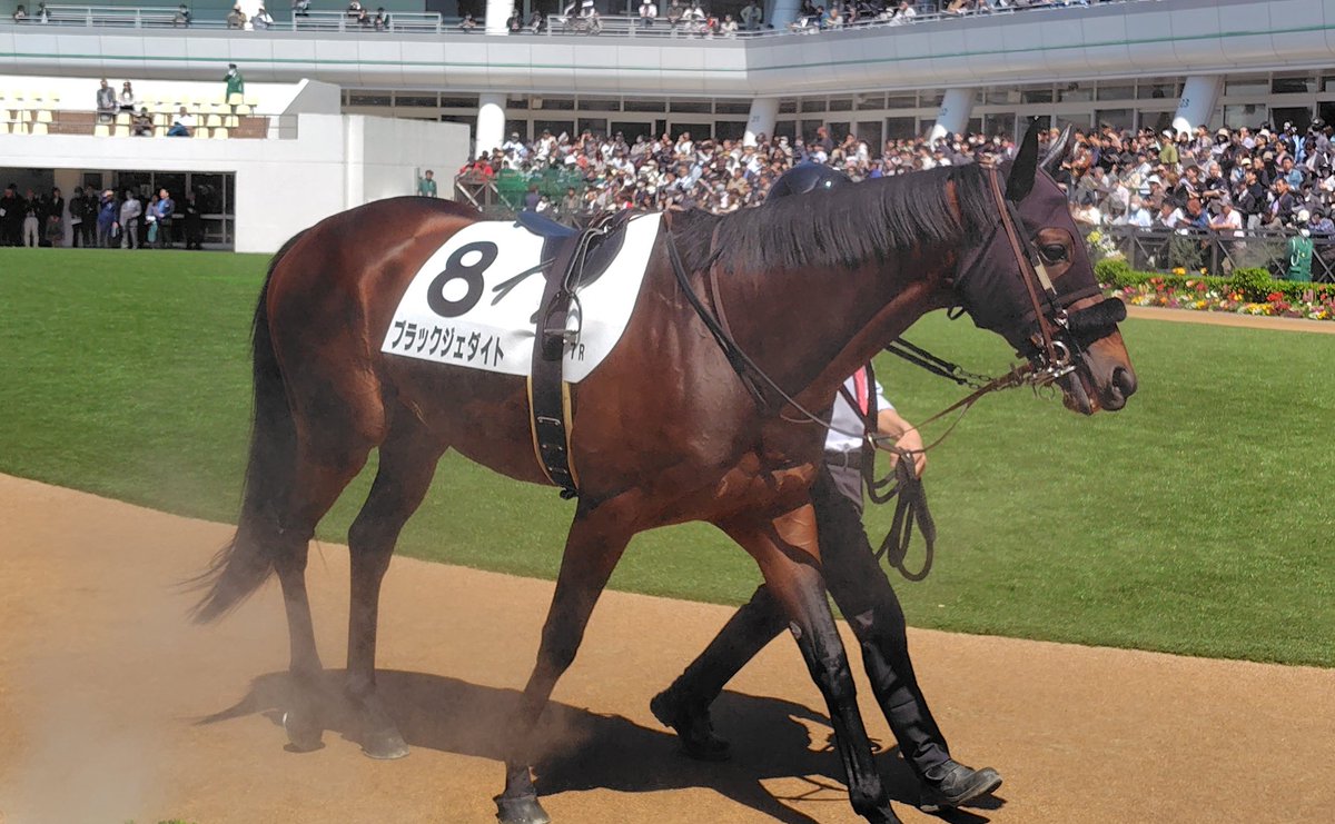 hiro_pon tweet media