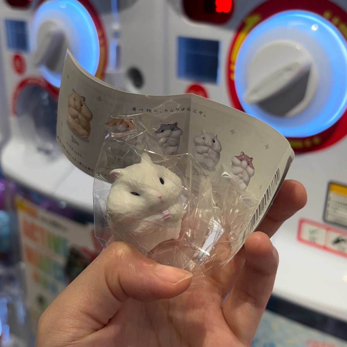 c.fu0701 tweet media