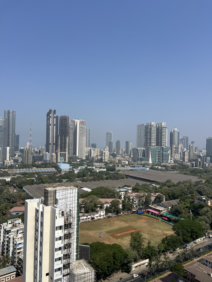 Freddie Wilde tweet media