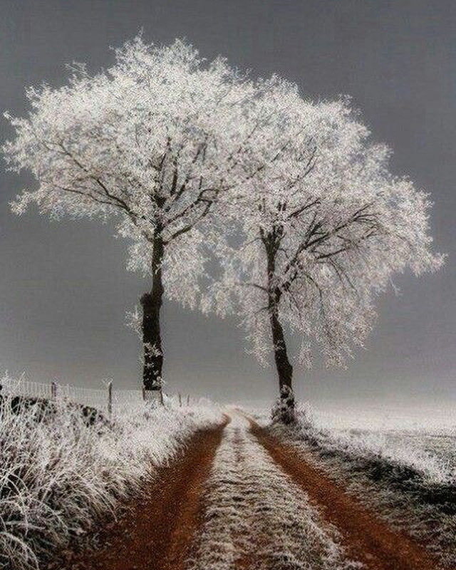 KatanaHugo's tweet image. Good morning my dear friends !!
#photos #morning #sunrise