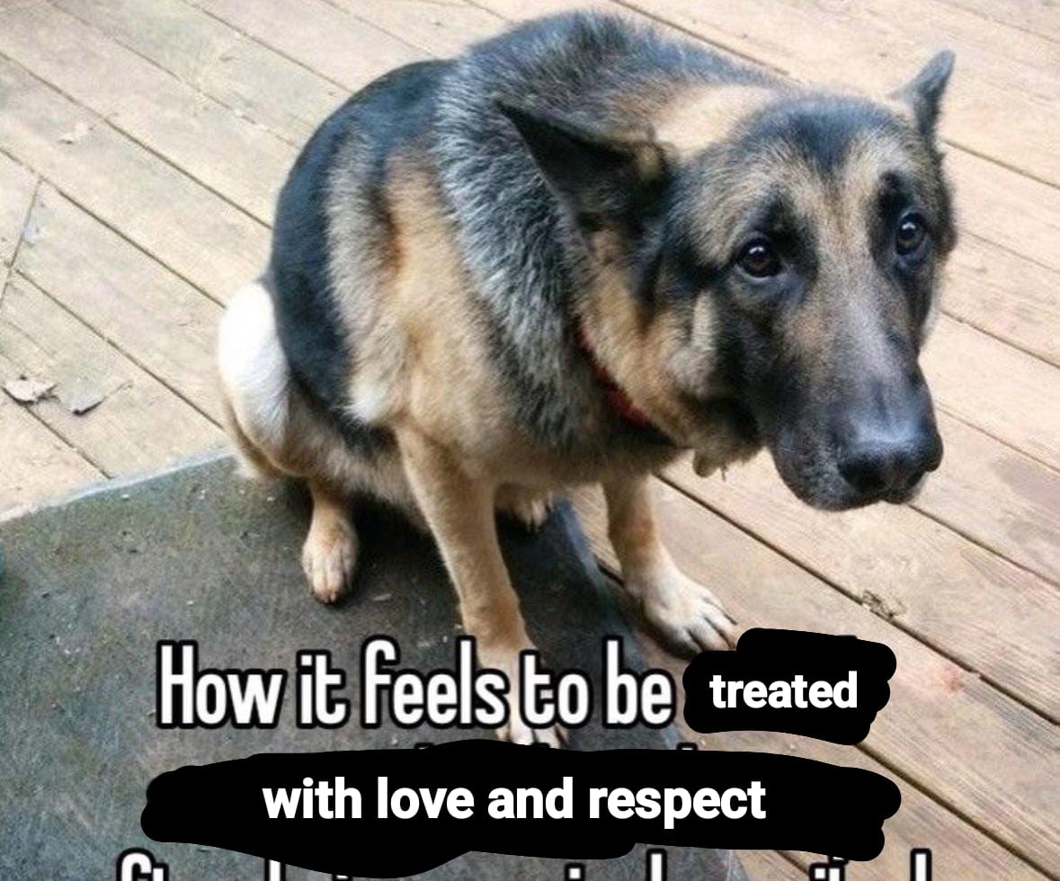 realyuriyearners tweet media