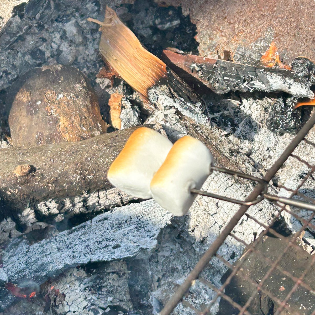 株式会社 アスティ【公式】 tweet media