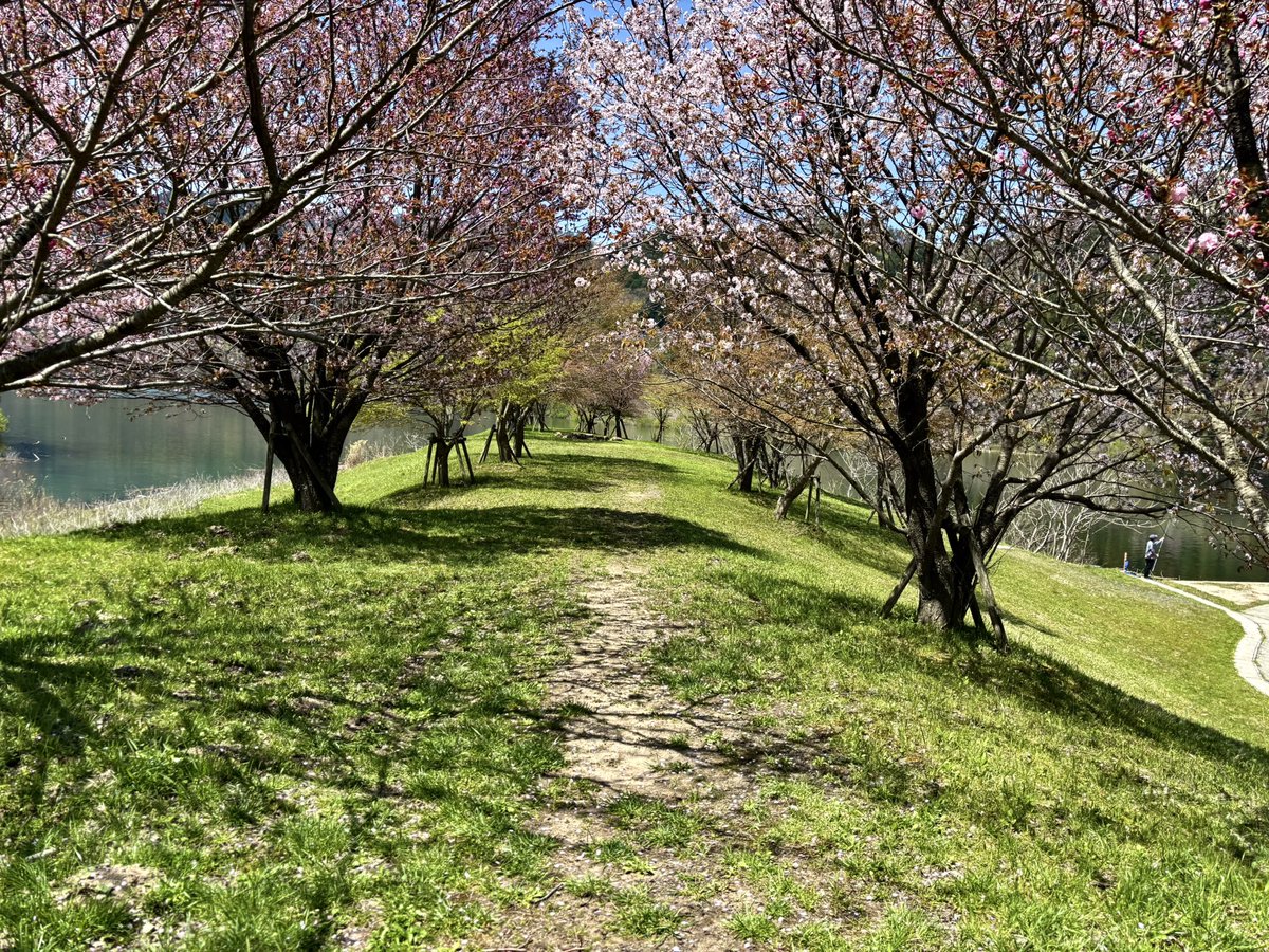 オッチ tweet media